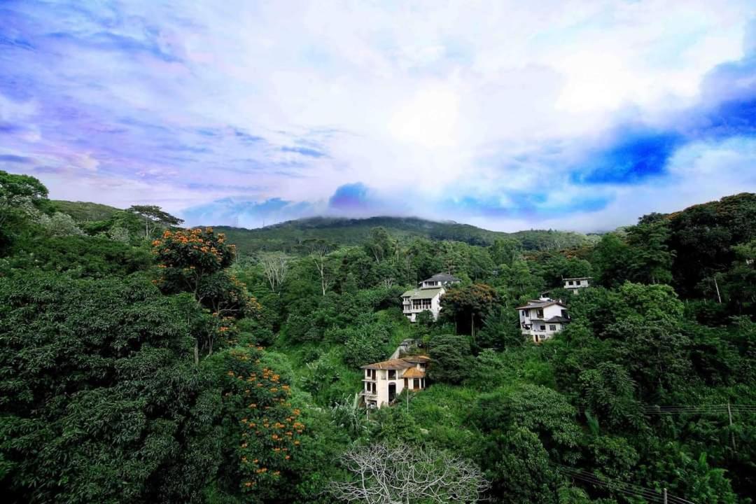 Hillcrest Villa Peradeniya Dış mekan fotoğraf