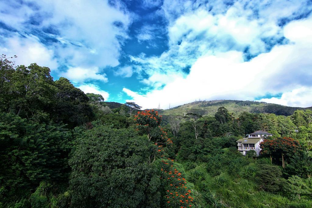 Hillcrest Villa Peradeniya Dış mekan fotoğraf